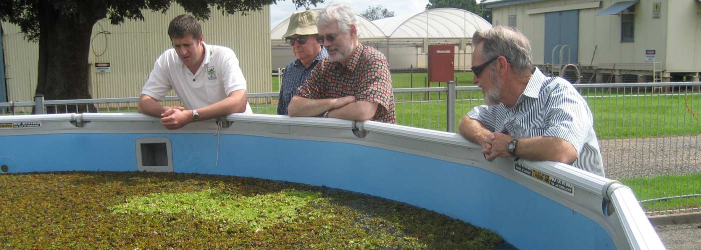 Review of WoNS Program - Biocontrol Aquatic Weeds